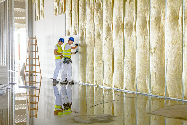 Trusted Mendota, IL Insulation Installation & Removal Experts